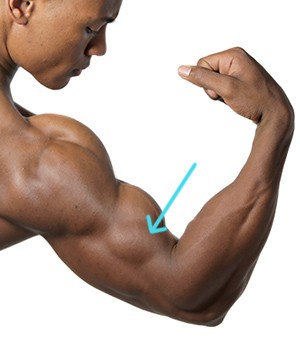 برنامه تمرینی برای داشتن عضلات سه بعدی