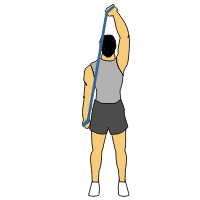 تمرین بدنسازی با کش برای پشت بازو