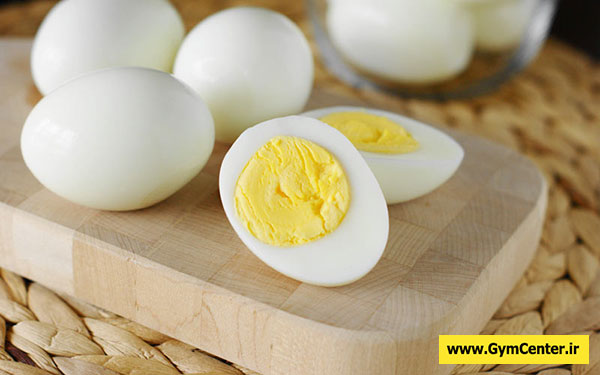 پروتئین تخم مرغ