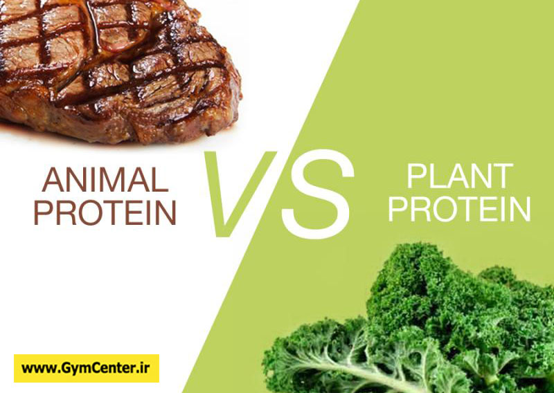 پروتئین های گیاهی